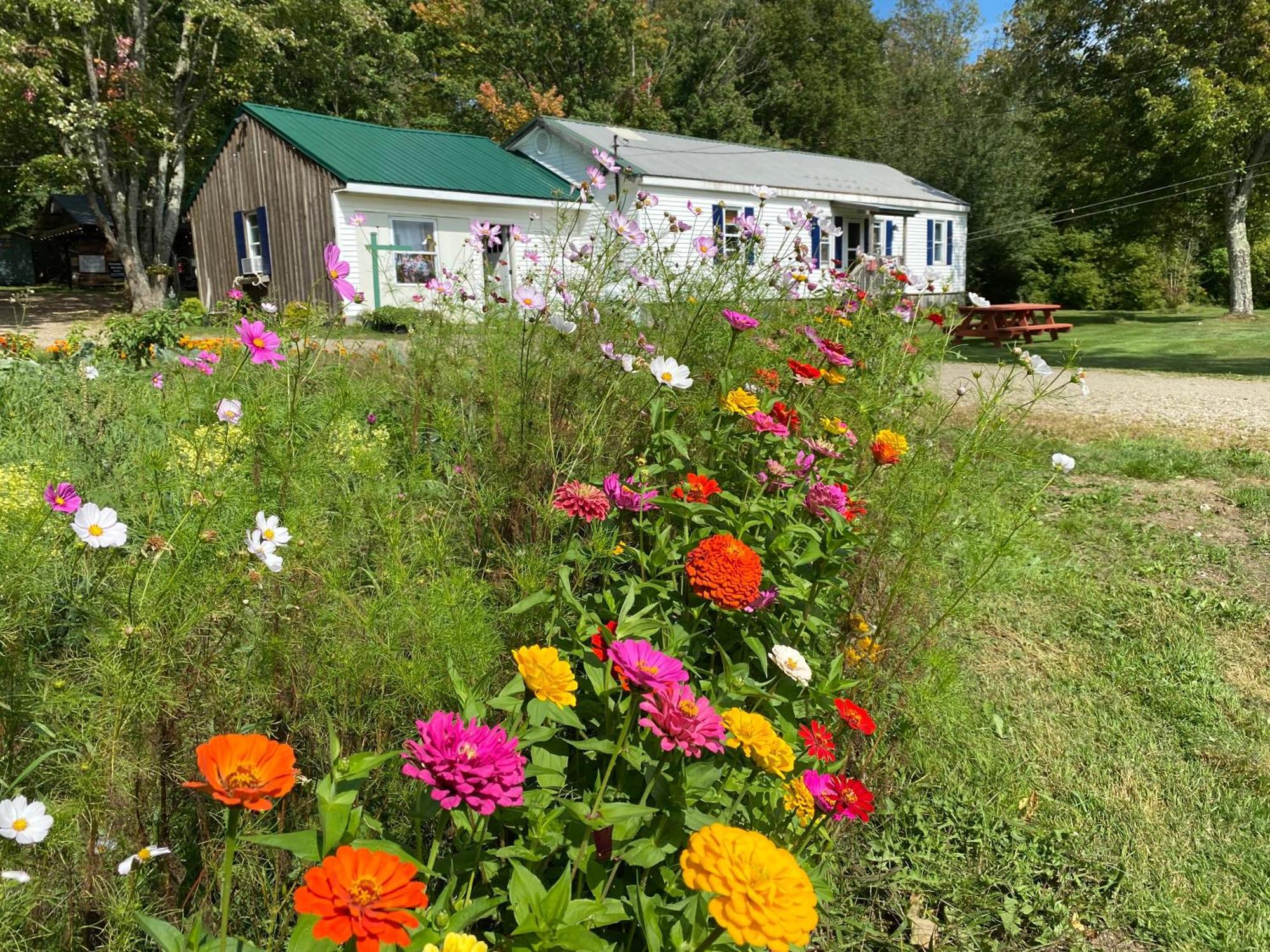 Angie's Country Non Electric Rustic In The Woods Provide The Linens Self Check In Access To Hot Shared Hot Tub * Fredonia