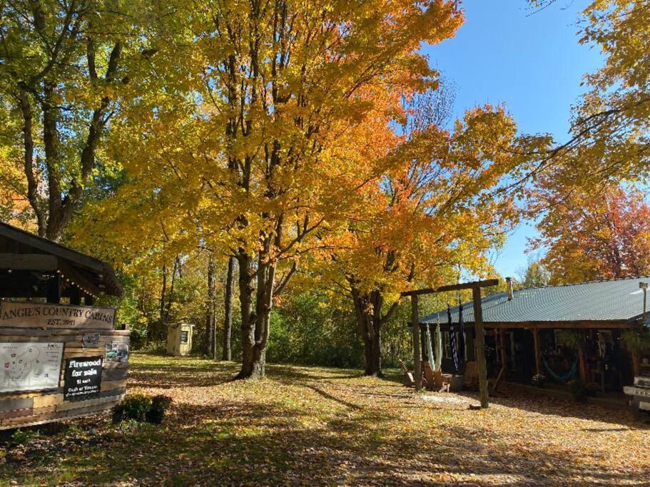Angie's Country Non Electric Rustic In The Woods Provide The Linens Self Check In Access To Hot Shared Hot Tub * Fredonia